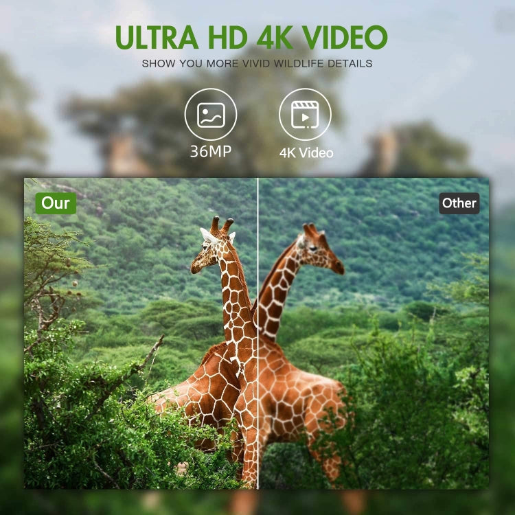 WiFi900Pro 4K Outdoor Tracking Hunting Camera App Remote Phone Operation To View Photos / Videos At Any Time by buy2fix