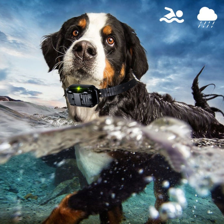 800m Remote Control Stop Barker Dog Trainer Smart Anti-Disturbance Vibration Collar, Specification: With 1 Collar by buy2fix