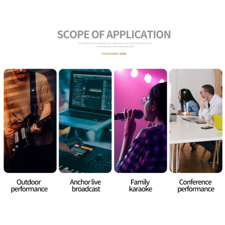 Vinyl Record Player Preamplifier, US Plug(PP500) by buy2fix