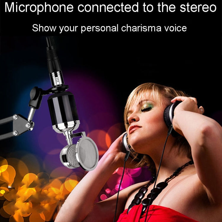 JINGHUA 6.5 Male To Female XLR Audio Cable 6.35 Three Core Balanced Microphone Mixer, Size: 1.5m(Black) by JINGHUA