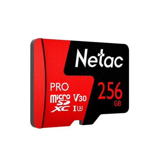 Netac P500 PRO 256GB U3 Speed Level Automobile Data Recorder Monitor Camera Memory Card TF Card by Netac