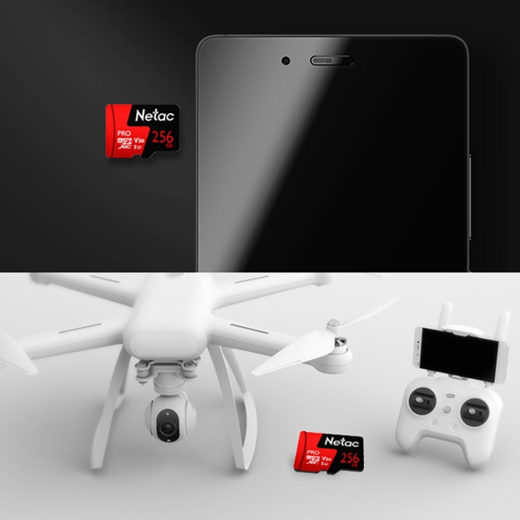 Netac P500 PRO 256GB U3 Speed Level Automobile Data Recorder Monitor Camera Memory Card TF Card by Netac