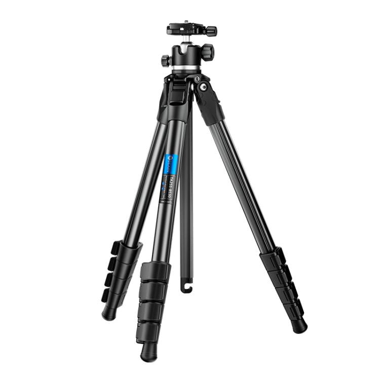 BEXIN TA255-BS30 Portable Collapsible Aluminum Alloy Camera Tripod with Head (Black) - Tripods by BEXIN | Online Shopping UK | buy2fix