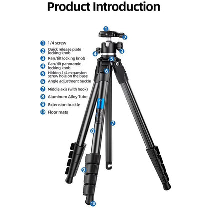 BEXIN TA255-BS30 Portable Collapsible Aluminum Alloy Camera Tripod with Head (Black) - Tripods by BEXIN | Online Shopping UK | buy2fix