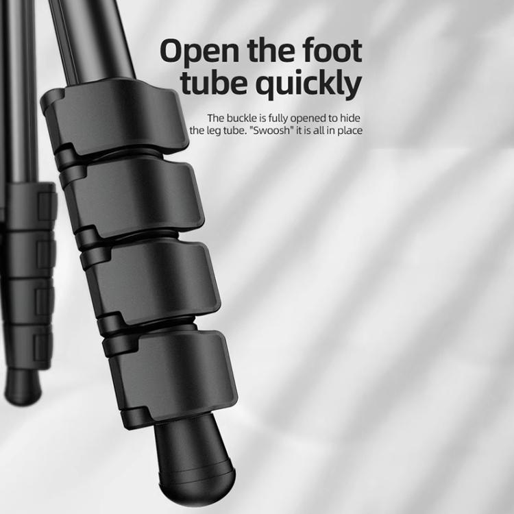 BEXIN TA255-BS30 Portable Collapsible Aluminum Alloy Camera Tripod with Head (Black) - Tripods by BEXIN | Online Shopping UK | buy2fix