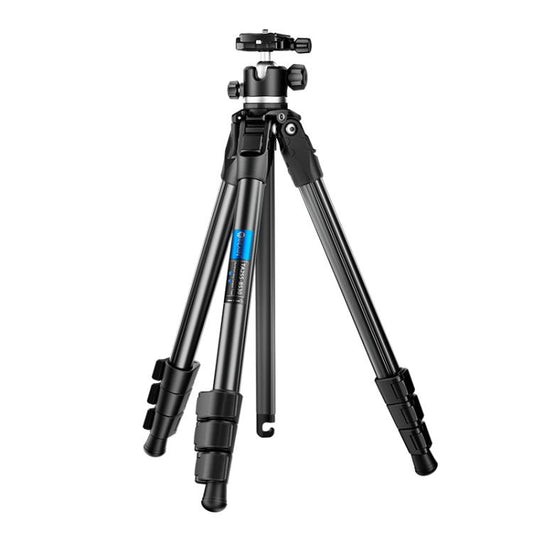 BEXIN TA254-BS30 Portable Collapsible Aluminum Alloy Camera Tripod with Head (Black) - Tripods by BEXIN | Online Shopping UK | buy2fix