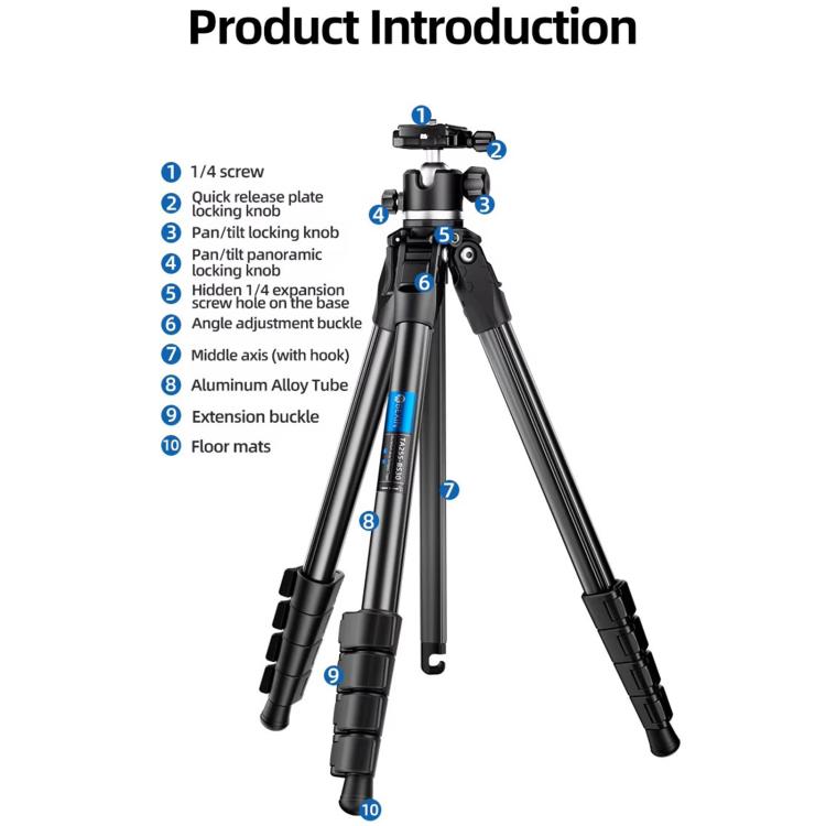 BEXIN TA254-BS30 Portable Collapsible Aluminum Alloy Camera Tripod with Head (Black) - Tripods by BEXIN | Online Shopping UK | buy2fix