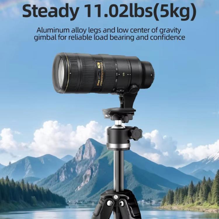 BEXIN TA254-BS30 Portable Collapsible Aluminum Alloy Camera Tripod with Head (Black) - Tripods by BEXIN | Online Shopping UK | buy2fix