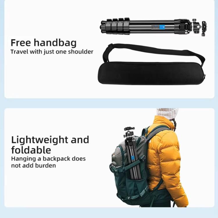 BEXIN TA254-BS30 Portable Collapsible Aluminum Alloy Camera Tripod with Head (Black) - Tripods by BEXIN | Online Shopping UK | buy2fix