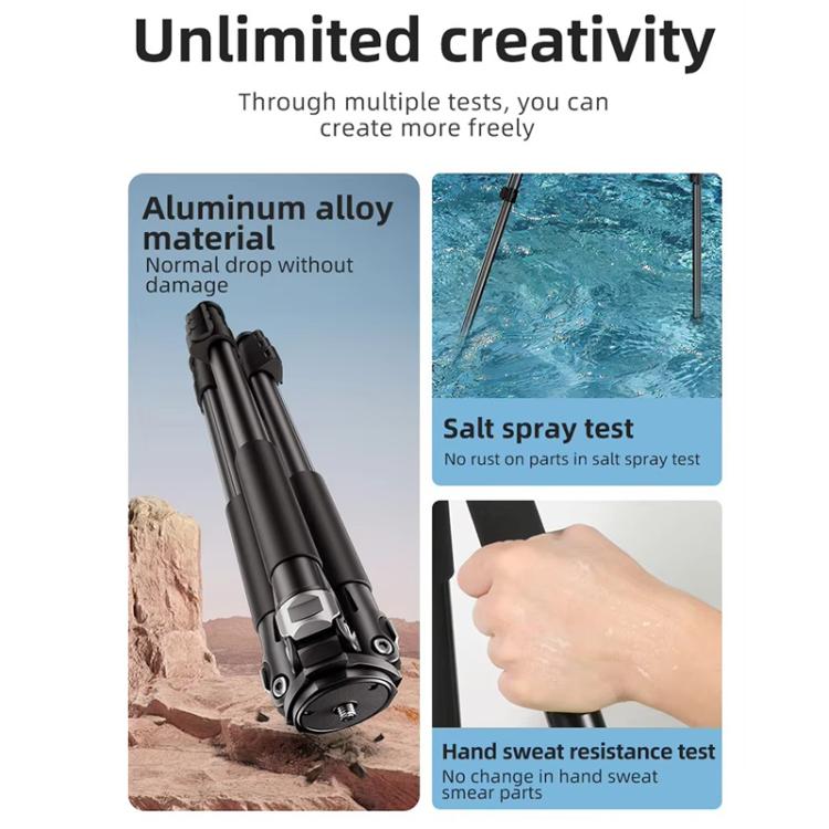 BEXIN RK294 Portable Collapsible Aluminum Alloy Camera Tripod (Black) - Tripods by BEXIN | Online Shopping UK | buy2fix