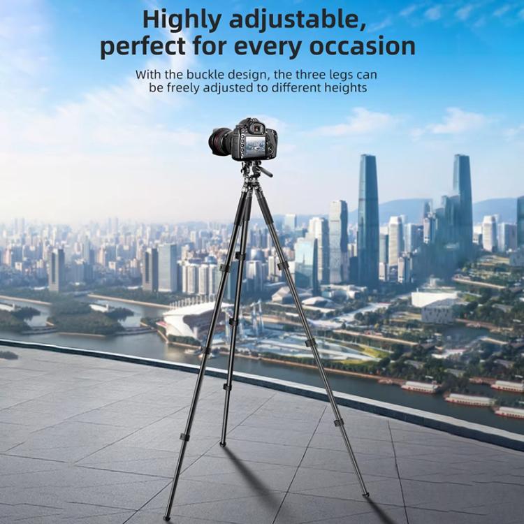 BEXIN RK294 Portable Collapsible Aluminum Alloy Camera Tripod (Black) - Tripods by BEXIN | Online Shopping UK | buy2fix