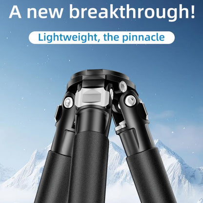 BEXIN RK264 Portable Collapsible Aluminum Alloy Camera Tripod (Black) - Tripods by BEXIN | Online Shopping UK | buy2fix