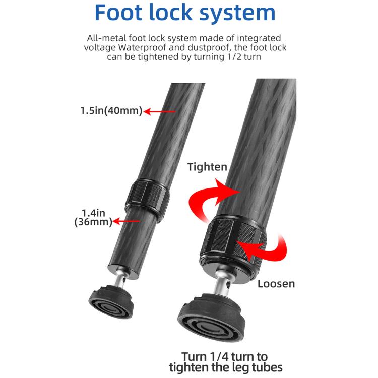 BEXIN ST402C Portable Collapsible Carbon Fiber Camera Tripod (Black) - Tripods by BEXIN | Online Shopping UK | buy2fix