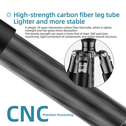 BEXIN W-334C Portable DSLR Camera 2 in 1 Carbon Fiber Tripod Detachable Monopod (Black) - Monopods by BEXIN | Online Shopping UK | buy2fix