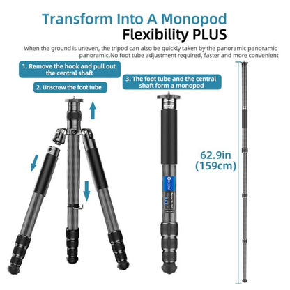 BEXIN W-334C Portable DSLR Camera 2 in 1 Carbon Fiber Tripod Detachable Monopod (Black) - Monopods by BEXIN | Online Shopping UK | buy2fix