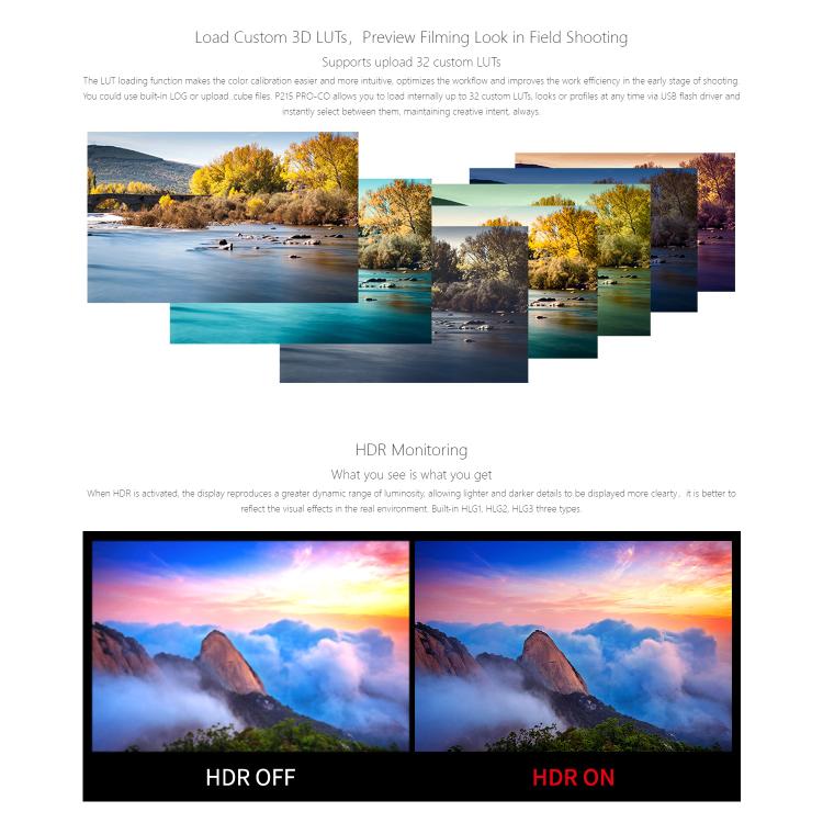 SEETEC P215 PRO-CO 21.5 inch 1000nit High Bright Portable Protective Broadcast Monitor Full HD 1920x1080 Monitor (US Plug) - On-camera Monitors by SEETEC | Online Shopping UK | buy2fix