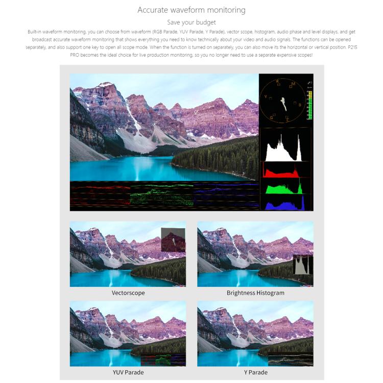 SEETEC P215 PRO 21.5 inch 1000nit High Bright Broadcast Monitor Full HD 1920x1080 Monitor (UK Plug) - On-camera Monitors by SEETEC | Online Shopping UK | buy2fix