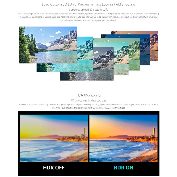 SEETEC P215 PRO 21.5 inch 1000nit High Bright Broadcast Monitor Full HD 1920x1080 Monitor (US Plug) - On-camera Monitors by SEETEC | Online Shopping UK | buy2fix