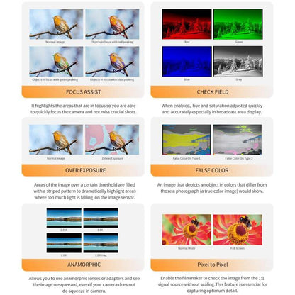 FEELWORLD P6XL 6.0 inch Aluminium Built-in Battery DSLR Camera Field Monitor Touch Screen 4K HDMI High Brightness 1200nit Monitor (Black) - On-camera Monitors by FEELWORLD | Online Shopping UK | buy2fix