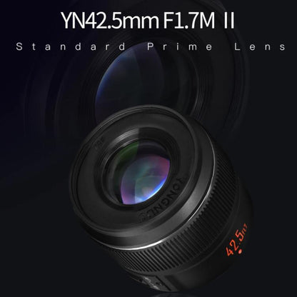 DCA4817B_3.jpg@9f1480e710e49a38a03034e126861166