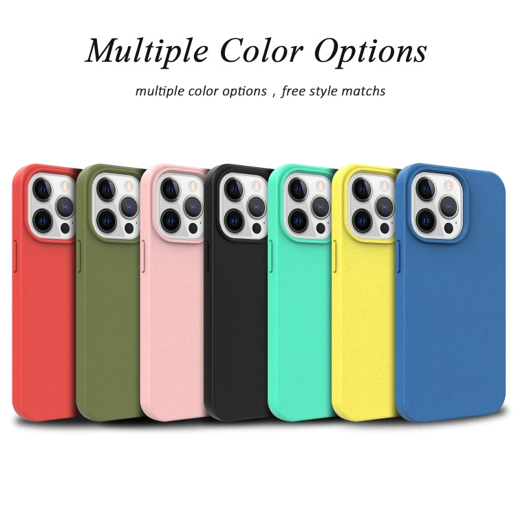 For iPhone 13 mini Starry Series Shockproof Straw Material + TPU Protective Case (Green) by buy2fix
