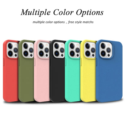 For iPhone 13 mini Starry Series Shockproof Straw Material + TPU Protective Case (Green) by buy2fix