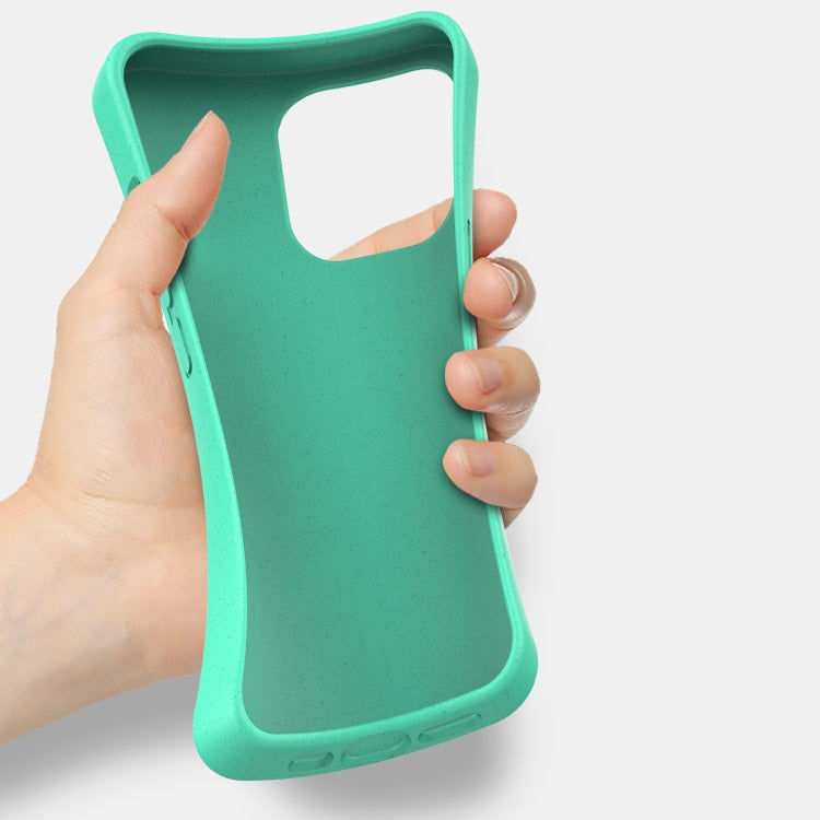 For iPhone 13 mini Starry Series Shockproof Straw Material + TPU Protective Case (Green) by buy2fix