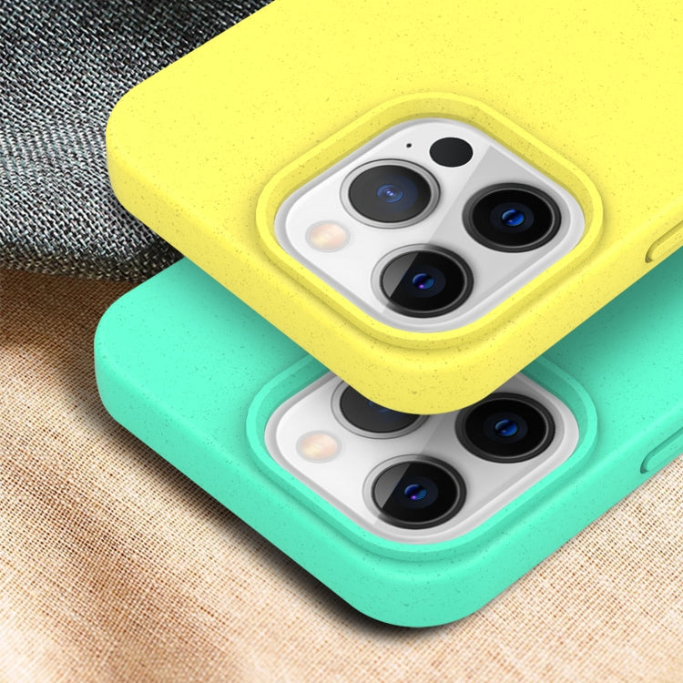 For iPhone 13 mini Starry Series Shockproof Straw Material + TPU Protective Case (Green) by buy2fix