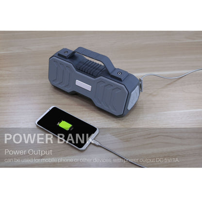 New Rixing NR-4500M Bluetooth 5.0 Portable Outdoor Karaoke Wireless Bluetooth Speaker with Microphone(Grey) - Desktop Speaker by NewRixing | Online Shopping UK | buy2fix