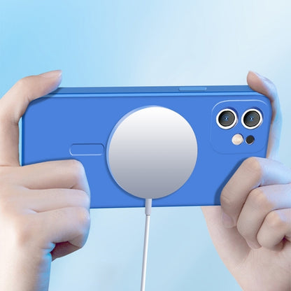 For iPhone 11 Pro Liquid Silicone Full Coverage Magsafe Phone Case (Blue) by buy2fix