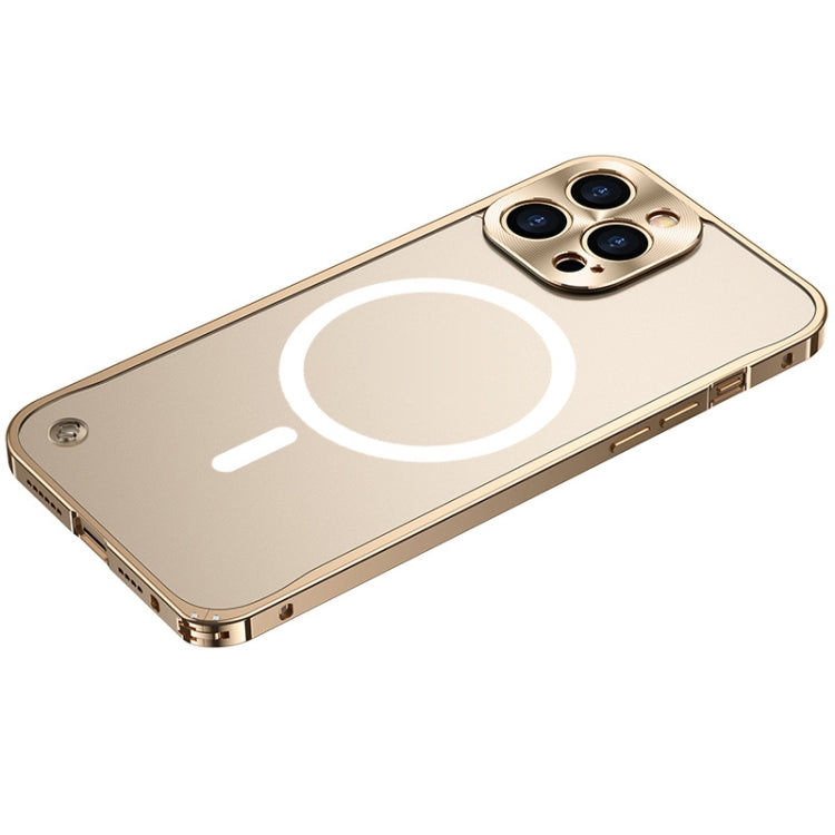 For iPhone 13 Pro MagSafe Magnetic Frosted Case (Gold) - iPhone 13 Pro Cases by buy2fix | Online Shopping UK | buy2fix