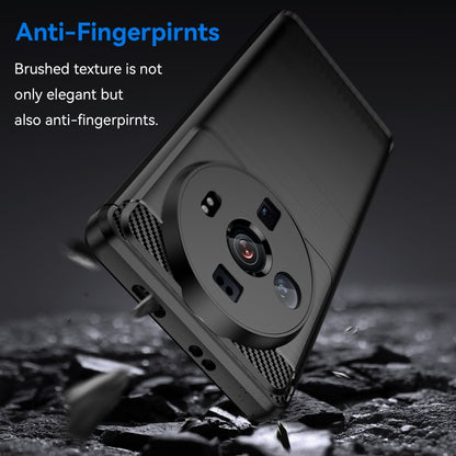 EDA003495902A_2.jpg@12d91181250e9fe29b278d47300680ce