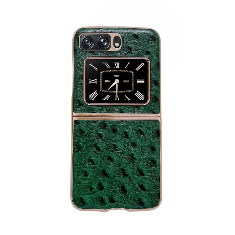 For Motorola Moto Razr 2022 Genuine Leather Ostrich Texture Nano Plating Phone Case(Green) by buy2fix