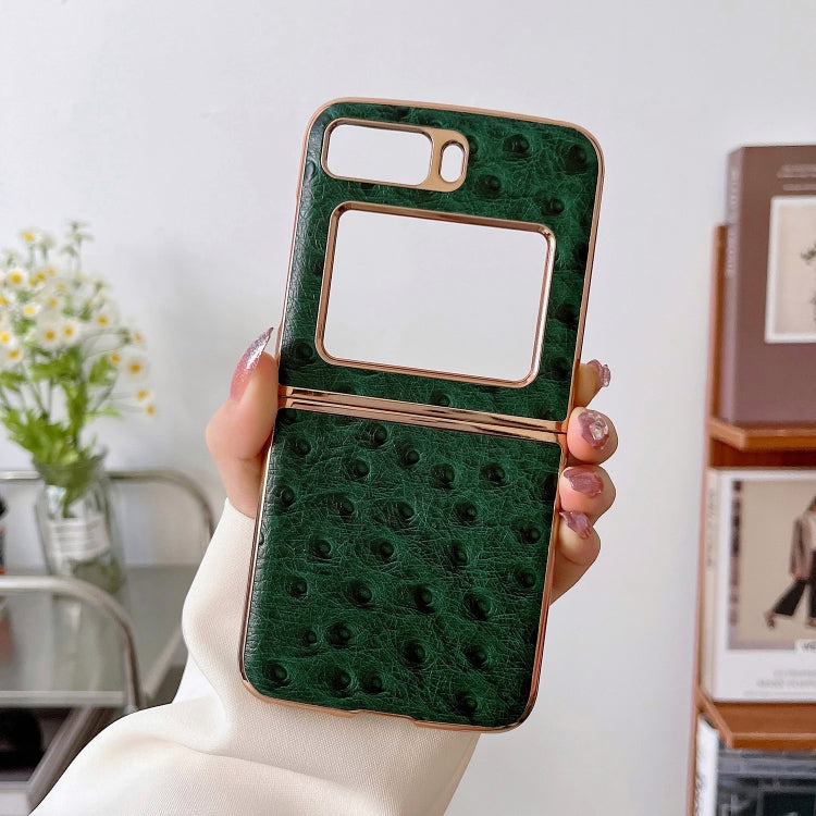 For Motorola Moto Razr 2022 Genuine Leather Ostrich Texture Nano Plating Phone Case(Green) by buy2fix