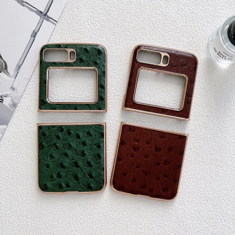 For Motorola Moto Razr 2022 Genuine Leather Ostrich Texture Nano Plating Phone Case(Green) by buy2fix