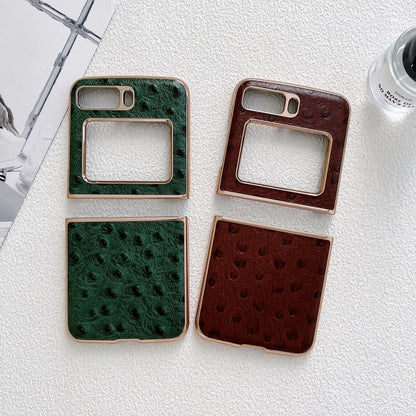 For Motorola Moto Razr 2022 Genuine Leather Ostrich Texture Nano Plating Phone Case(Green) by buy2fix