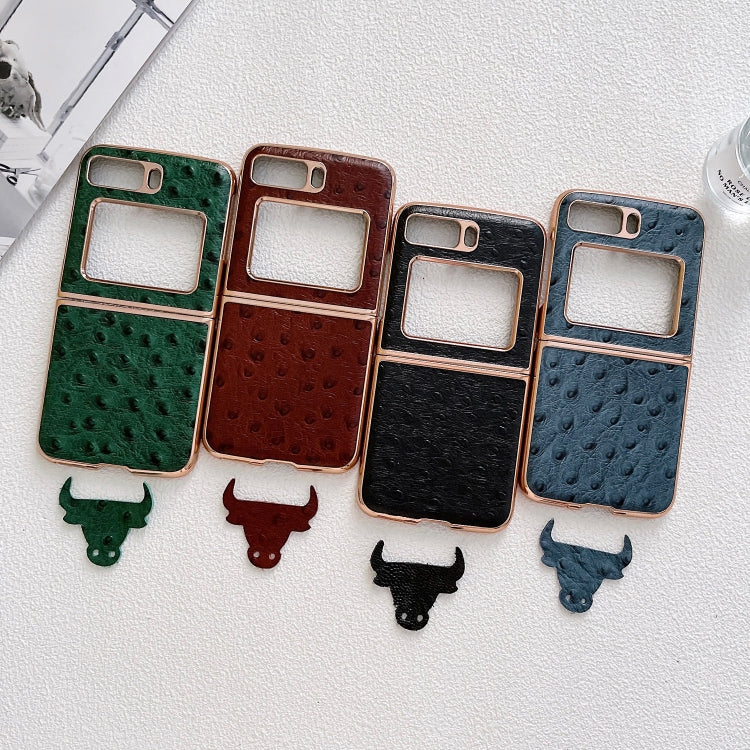 For Motorola Moto Razr 2022 Genuine Leather Ostrich Texture Nano Plating Phone Case(Green) by buy2fix