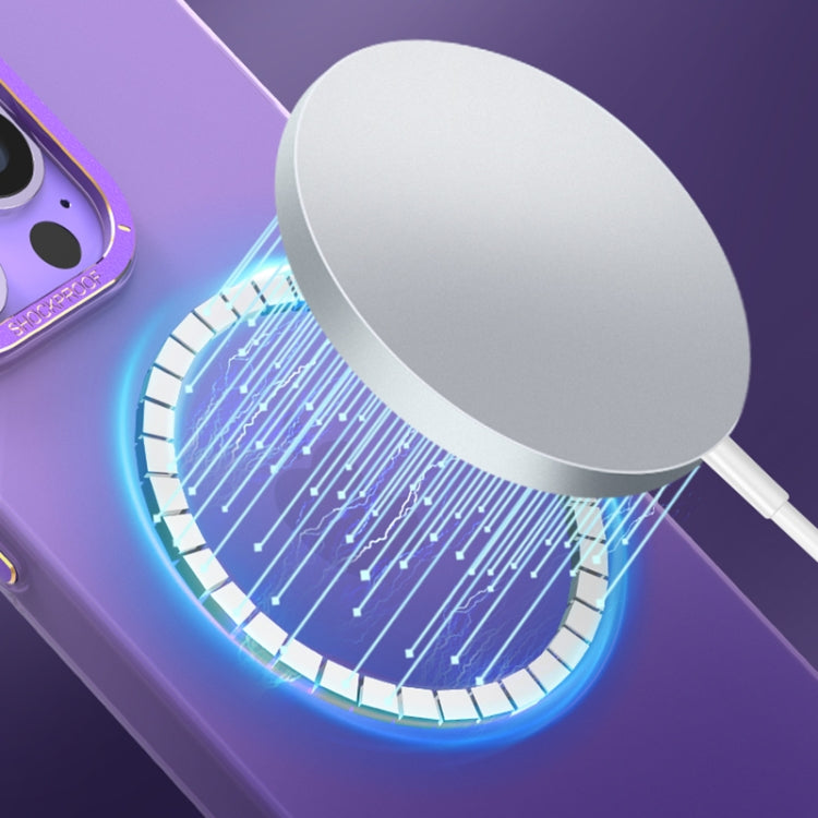 For iPhone 12 Pro Magsafe Magnetic Crystal Frosted Series Phone Case(Translucent White) by buy2fix