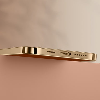 For iPhone 12 Litchi Texture Genuine Leather Phone Case(Black) - iPhone 12 / 12 Pro Cases by buy2fix | Online Shopping UK | buy2fix