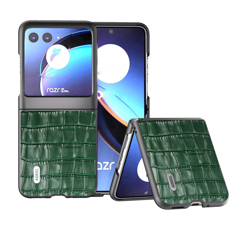 For Motorola Razr 40 Ultra ABEEL Crocodile Texture Genuine Leather Phone Case(Green) by buy2fix