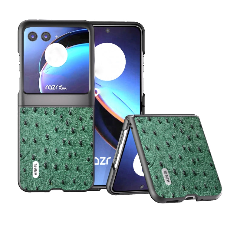 For Motorola Razr 40 Ultra ABEEL Genuine Leather Ostrich Texture Phone Case(Green) by buy2fix