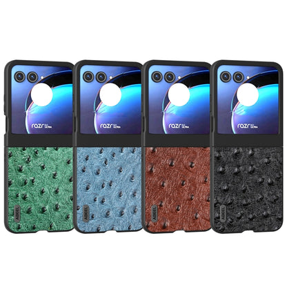 For Motorola Razr 50 ABEEL Genuine Leather Ostrich Texture Phone Case(Blue) by buy2fix