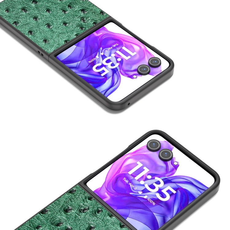 For Motorola Razr 50 Ultra ABEEL Genuine Leather Ostrich Texture Phone Case(Green) by buy2fix