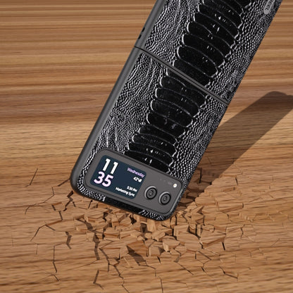 For Motorola Razr 40 ABEEL Genuine Leather Weilai Series Phone Case(Black) by buy2fix