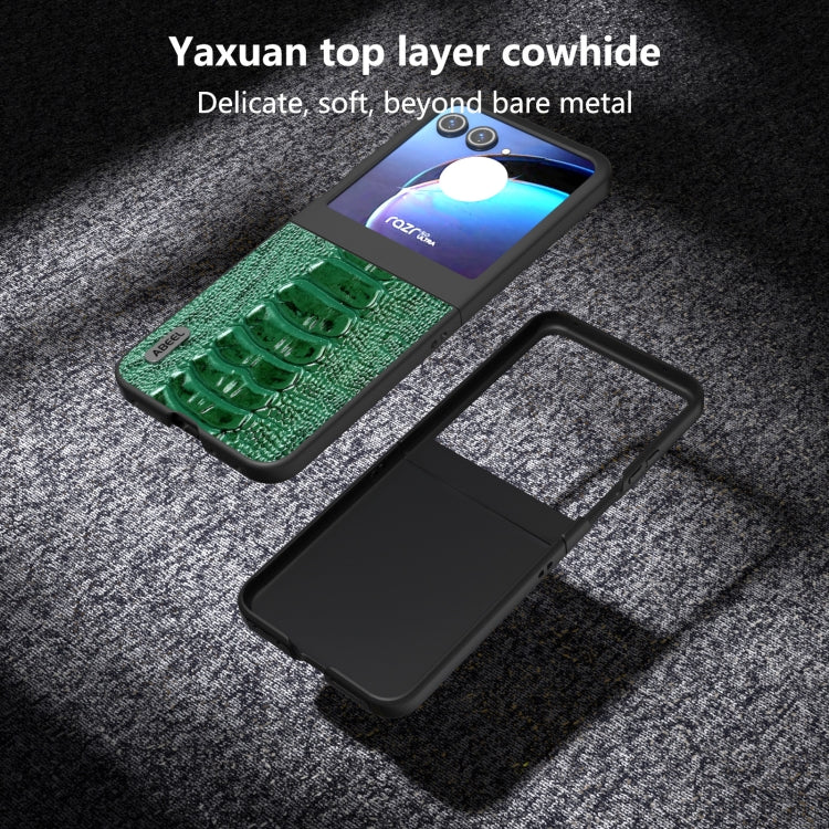 For Motorola Razr 50 ABEEL Genuine Leather Weilai Series Phone Case(Green) by buy2fix