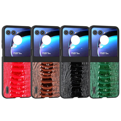 For Motorola Razr 50 ABEEL Genuine Leather Weilai Series Phone Case(Coffee) by buy2fix