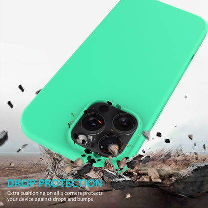 For iPhone 16 Pro Max Solid Color Silicone Phone Case(Green) - More iPhone Cases by buy2fix | Online Shopping UK | buy2fix