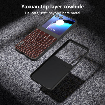 For Motorola Razr 50 ABEEL Genuine Leather Crocodile Pattern Black Edge Phone Case(Coffee) by buy2fix