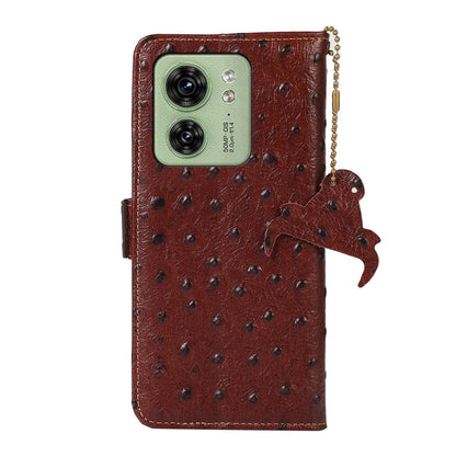 For Motorola Edge 40 Ostrich Pattern Genuine Leather RFID Phone Case(Coffee) - Motorola Cases by buy2fix | Online Shopping UK | buy2fix