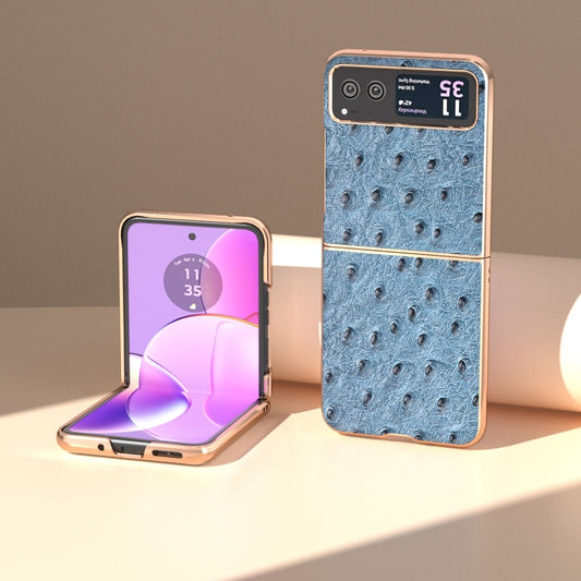 For Motorola Razr 40 Nano Plating Genuine Leather Ostrich Texture Phone Case(Blue) by buy2fix